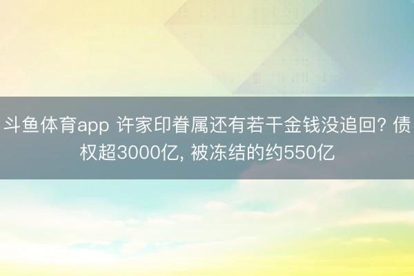 斗鱼体育app 许家印眷属还有若干金钱没追回? 债权超3000亿, 被冻结的约550亿