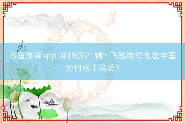 斗鱼体育app 月销仅21辆? 飞驰电动化在中国为何水土造反?