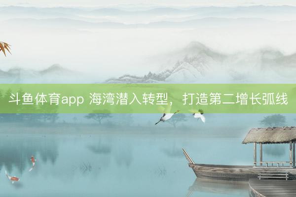 斗鱼体育app 海湾潜入转型，打造第二增长弧线