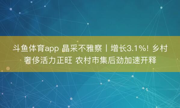 斗鱼体育app 晶采不雅察丨增长3.1%! 乡村奢侈活力正旺 农村市集后劲加速开释