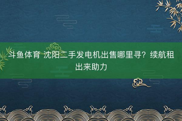 斗鱼体育 沈阳二手发电机出售哪里寻？续航租出来助力