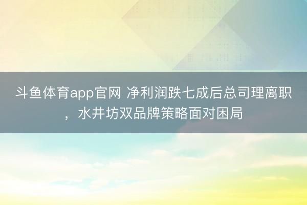 斗鱼体育app官网 净利润跌七成后总司理离职，水井坊双品牌策略面对困局